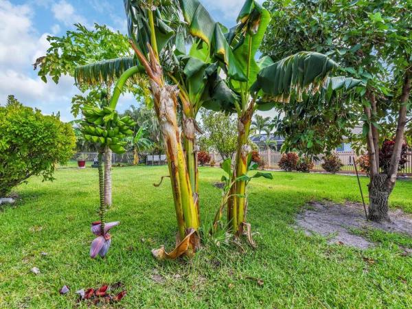 Cape Coral Residential, 1008 42nd Ln, Cape Coral, Florida 33904, image 1