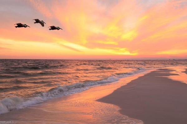 Parkway Preserve, 10925 Preachers Cove Ln, Fort Myers, Florida 33913, image 1