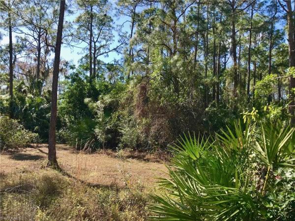 Lehigh Acres, 2208 Jackson Ave, Alva, Florida 33920, image 3