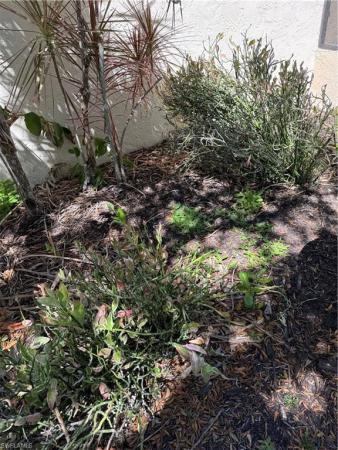 Bonita Springs Residential, 11380 Pendleton St, Bonita Springs, Florida 34135, image 1