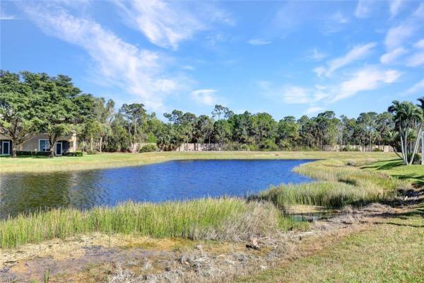 Marsh Landing, 23054 Grassy Pine Dr, Estero, Florida 33928, image 1
