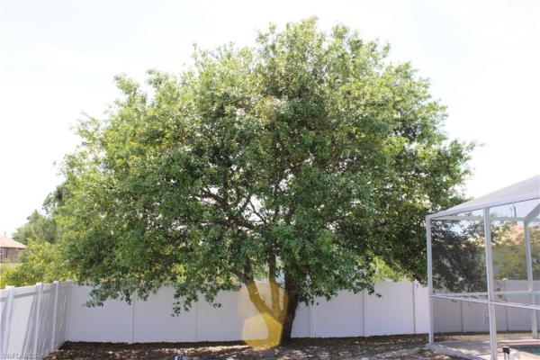 Lehigh Acres, 3711 W 14th St, Lehigh Acres, Florida 33971, image 1