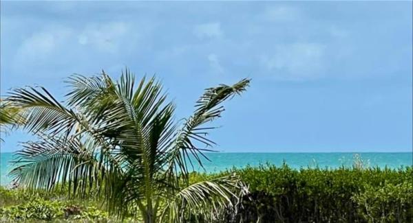 Sandalfoot, 671 Gulf Dr #4D1, Sanibel, Florida 33957, image 2
