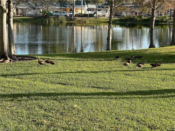 Sail Harbour At HealthPark, 16000 Via Solera Cir #106, Fort Myers, Florida 33908, image 2