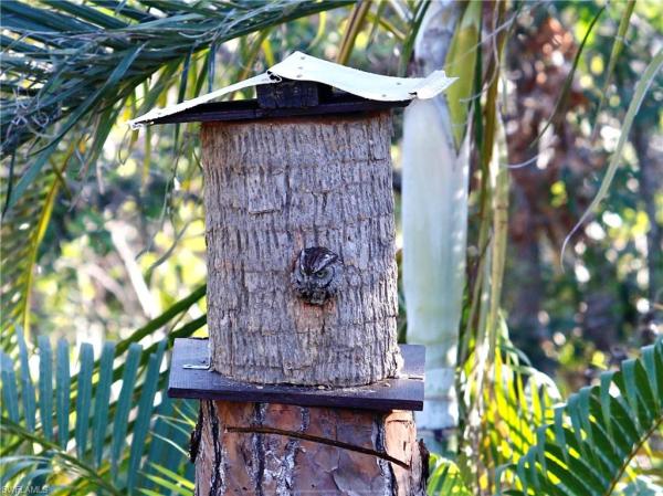Pine Island, 6831 Tropical Ln, Bokeelia, Florida 33922, image 1