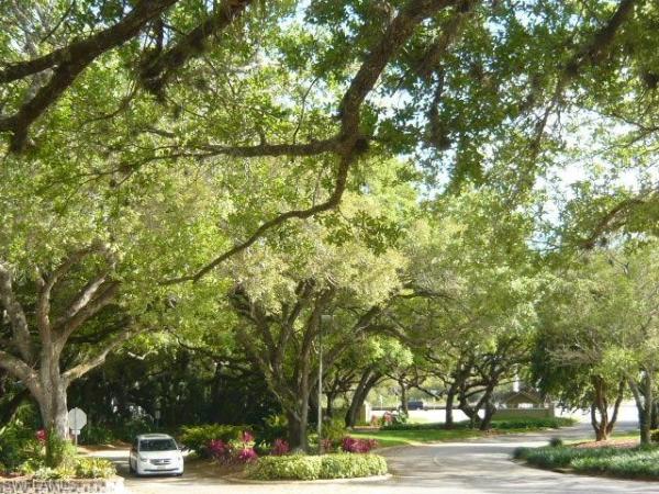 The Villas At Country Creek, 9716 Willow Way, Estero, Florida 33928, image 2