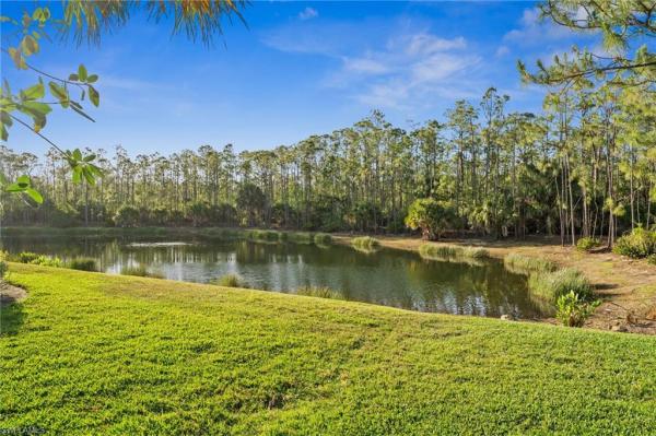 Lake Forest At Shadow Wood, 9391 Lakebend Preserve Ct, Estero, Florida 34135, image 3