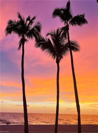 The Fountains, 4241 Chantelle Dr #D104, Naples, Florida 34112, image 1