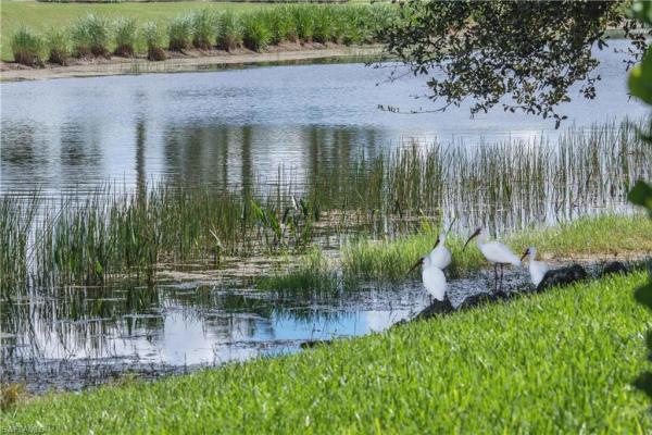 Heritage Bay Golf & Country Club, 10295 Heritage Bay Blvd #911, Naples, Florida 34120, image 1