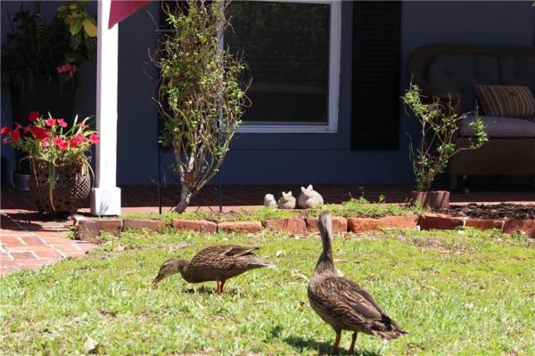 Palmlee Park, 1605 Oakley Ave, Fort Myers, Florida 33901, image 1