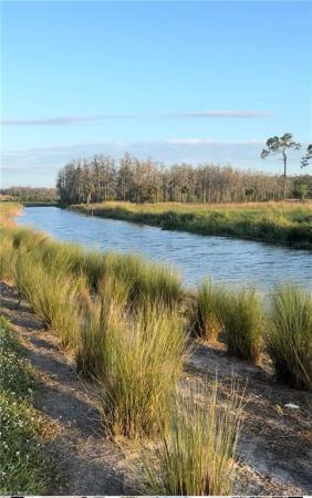 Silverwood At Maple Ridge, 5590 Agostino Way, Ave Maria, Florida 34142, image 2