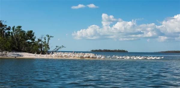 242 Newport Dr #504, Naples, Florida 34114, image 1