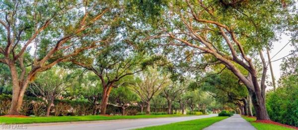 San Miguel At Vineyards, 170 Vista Ln, Naples, Florida 34119, image 1