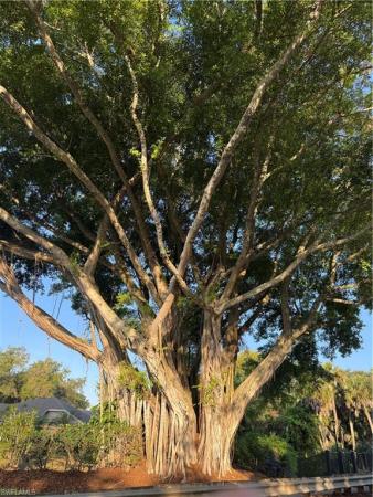 The Villages At Country Creek, 20950 Rivers, Estero, Florida 33928, image 1