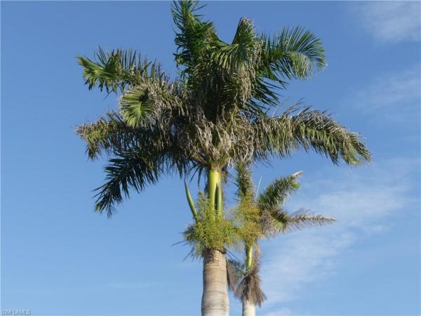 Country Club Manor, 5467 Rattlesnake Hamm Rd #C-204, Naples, Florida 34113, image 1