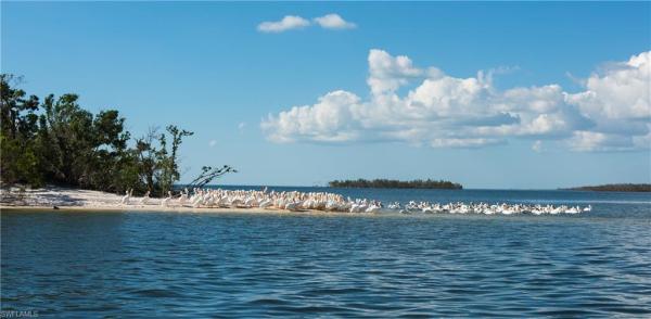 Sanctuary Point At Port Of The Islands, 171 Cays Dr, Naples, Florida 34114, image 1