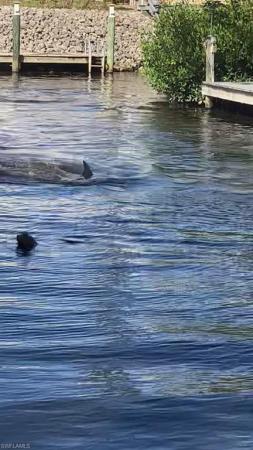 Bonita Farms, 27071 Holly Ln, Bonita Springs, Florida 34135, image 1