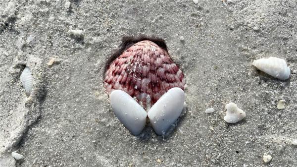 4118 Bayside Villas, Captiva, Florida 33924, image 1