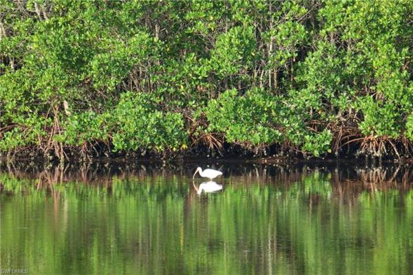 4116 Bayside Villas, Captiva, Florida 33924, image 1