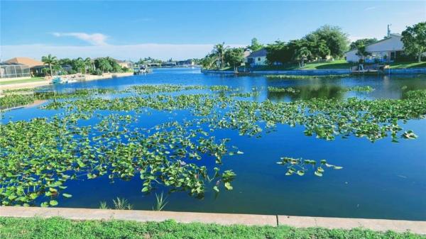 Cape Coral Residential, 501 7th St, Cape Coral, Florida 33990, image 2