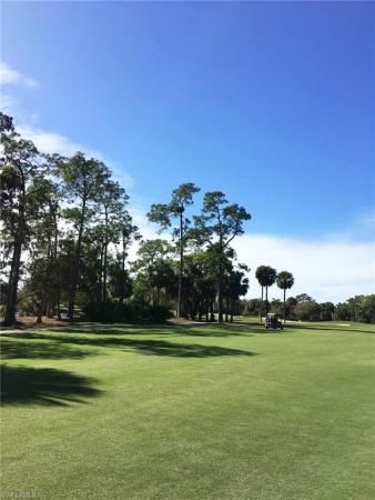 Eagle Creek Golf & Country Club, 31 Grey Wing Pt, Naples, Florida 34113, image 1