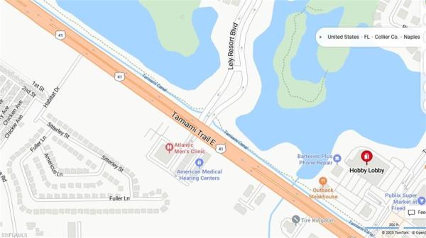 Victoria Falls, 12043 Sitterley St, Naples, Florida 34113, image 1