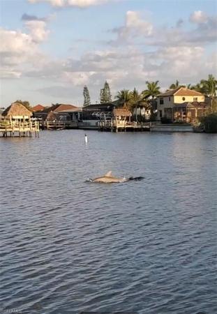 Cape Coral Residential, 1415 38th Ave, Cape Coral, Florida 33993, image 2
