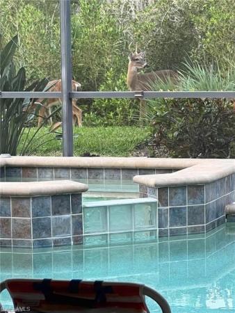 Bella Terra, 13435 Irsina Dr, Estero, Florida 33928, image 3