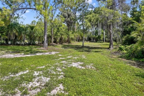Golden Gate Estates, 6035 Painted Leaf Ln, Naples, Florida 34116, image 1