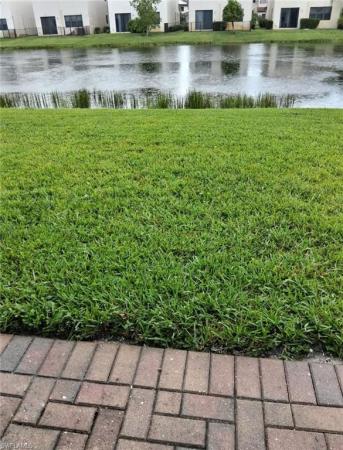Coquina At Maple Ridge, 5373 Cameron Dr, Ave Maria, Florida 34142, image 1