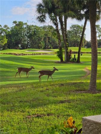 Chase Preserve, 8563 Chase Preserve Dr, Naples, Florida 34113, image 1