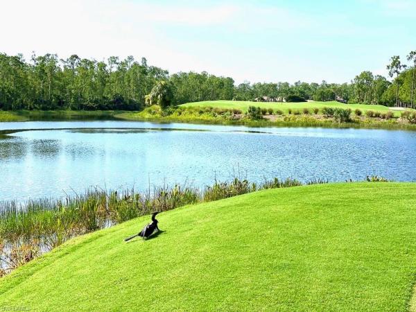 Grande Estates At Grandezza, 20001 Oak Fairways Ct, Estero, Florida 33928, image 1