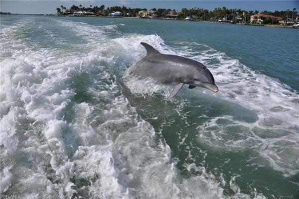Port Of The Islands Resort, 123 Newport Dr, Naples, Florida 34114, image 1
