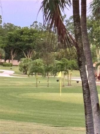 1624 Pine Valley Dr #115, Fort Myers, Florida 33907, image 1