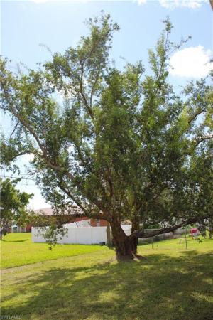 Cape Coral, 1417 NE 12th Ave, Cape Coral, Florida 33909, image 1
