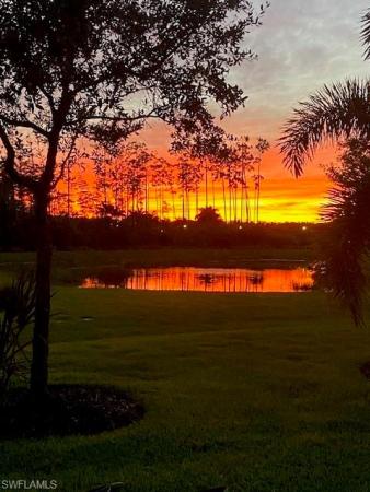 The Preserve At Corkscrew, 20264 Black Tree Ln, Estero, Florida 33928, image 1