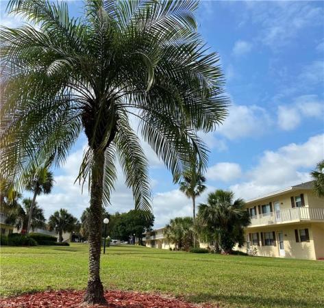 3325 Airport Rd N, Naples, Florida 34105, image 1