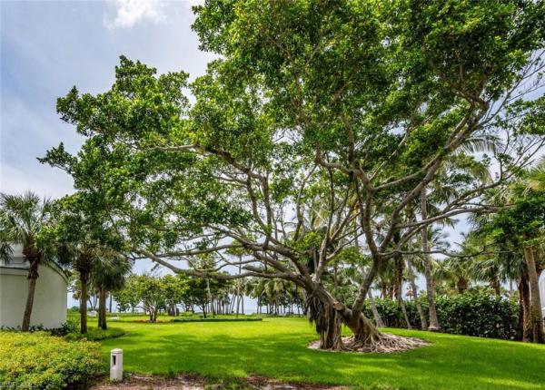 4200 Belair Ln #105, Naples, Florida 34103, image 1