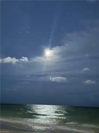 Swan Lake Club At Park Shore, 4160 Crayton Rd, Naples, Florida 34103, image 1