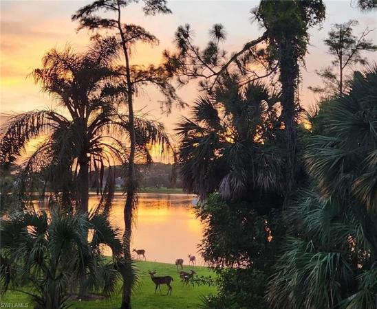 Imperial Golf Estates, 2066 Imperial Cir, Naples, Florida 34110, image 1