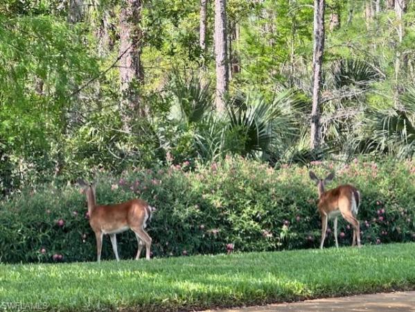 Cedar Hammock Golf & Country Club, 8789 Cedar Hammock Blvd #61, Naples, Florida 34112, image 1