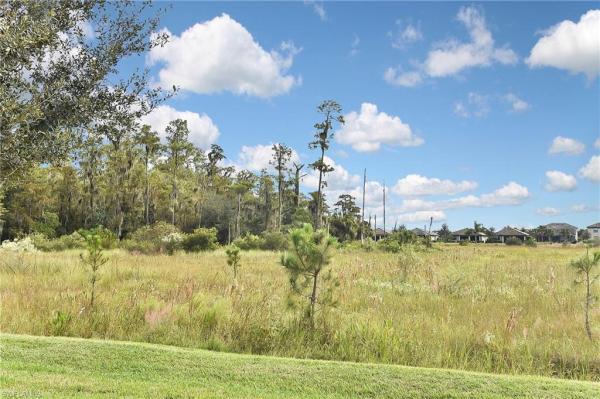 The Place At Corkscrew, 19375 Elston Way, Estero, Florida 33928, image 1