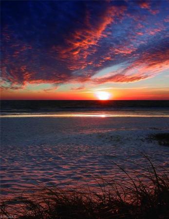 Colliers Reserve, 12219 Colliers Reserve Dr, Naples, Florida 34110, image 1