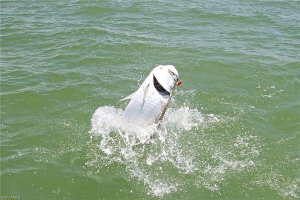 Sunset Cay Lakes At Port Of The Islands, 350 Newport Dr #1906, Naples, Florida 34114, image 3