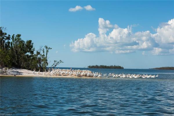 Sunset Cay Lakes At Port Of The Islands, 350 Newport Dr #1906, Naples, Florida 34114, image 2