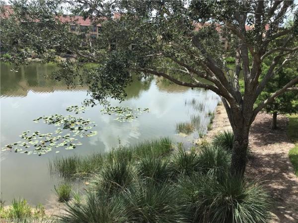 Fairway Preserve, 7985 Preserve Cir #1133, Naples, Florida 34119, image 2