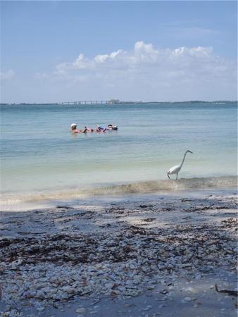 Marina Towers Yacht Club, 8401 Estero Blvd #204, Fort Myers Beach, Florida 33931, image 1