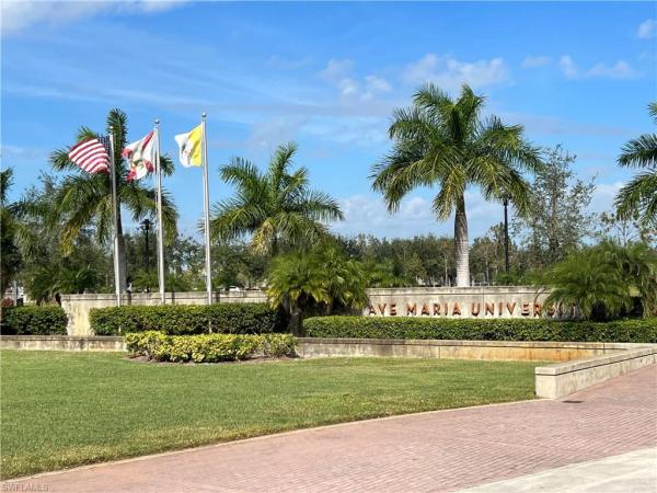 5068 Annunciation Cir #4211, Ave Maria, Florida 34142, image 2