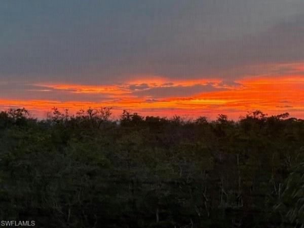 Vanderbilt Towers 2 At Vanderbilt Beach, 3 Bluebill Ave #405, Naples, Florida 34108, image 1