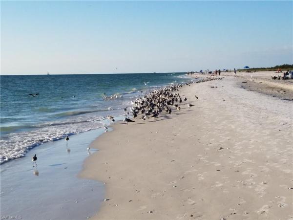 457 Tallwood St #108, Marco Island, Florida 34145, image 3